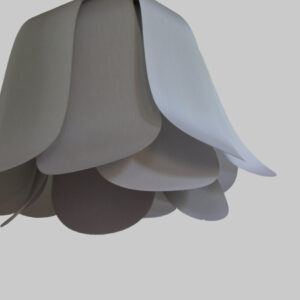 Tulipe Grise
