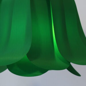 Tulipe Verte foncée