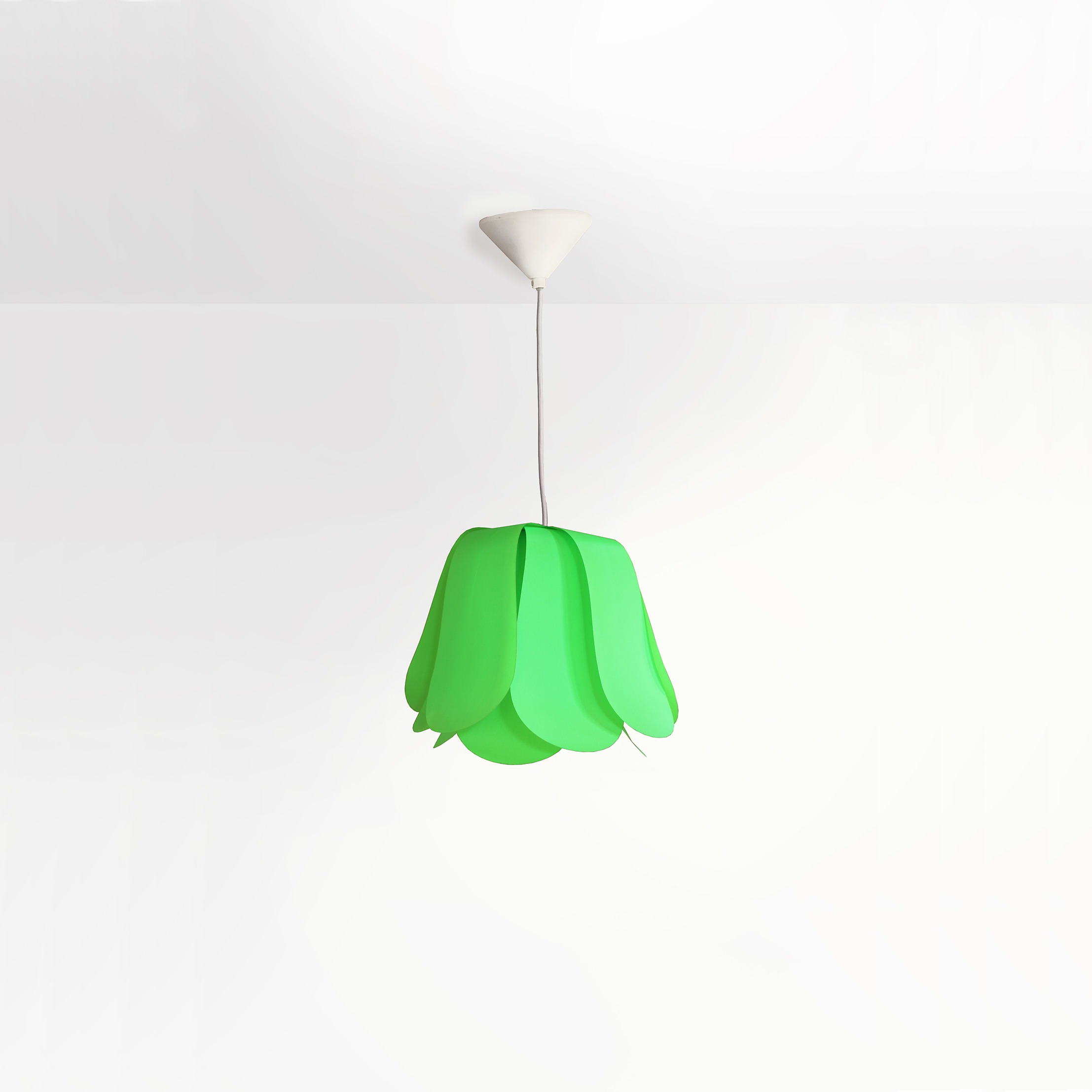 suspension Tulipe verte clair sur font blanc
