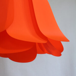 2 - Tulipe Orange - (Les petits défauts)
