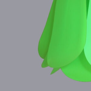 1 - Tulipe Verte claire - (Les petits défauts)