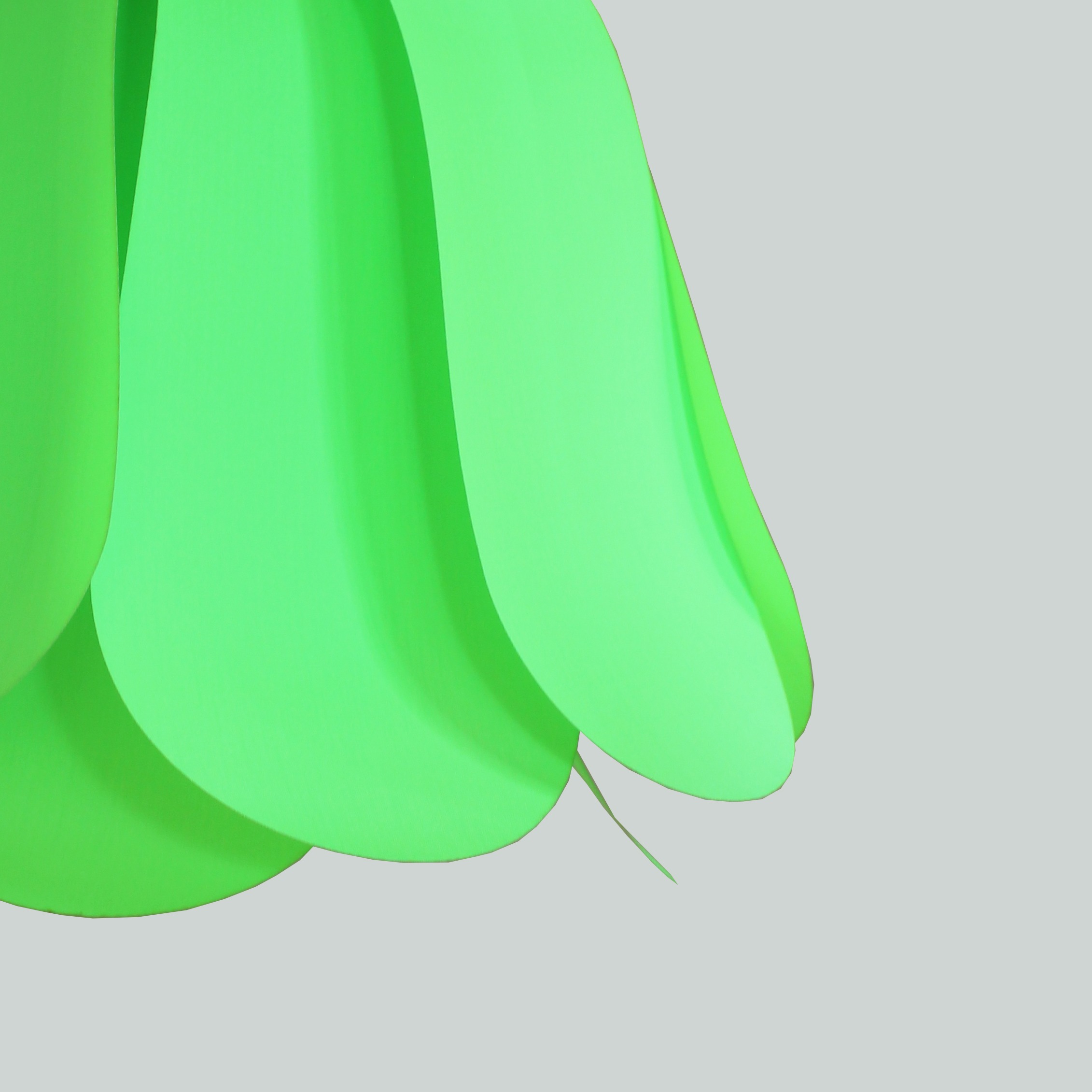 Tulipe Verte claire