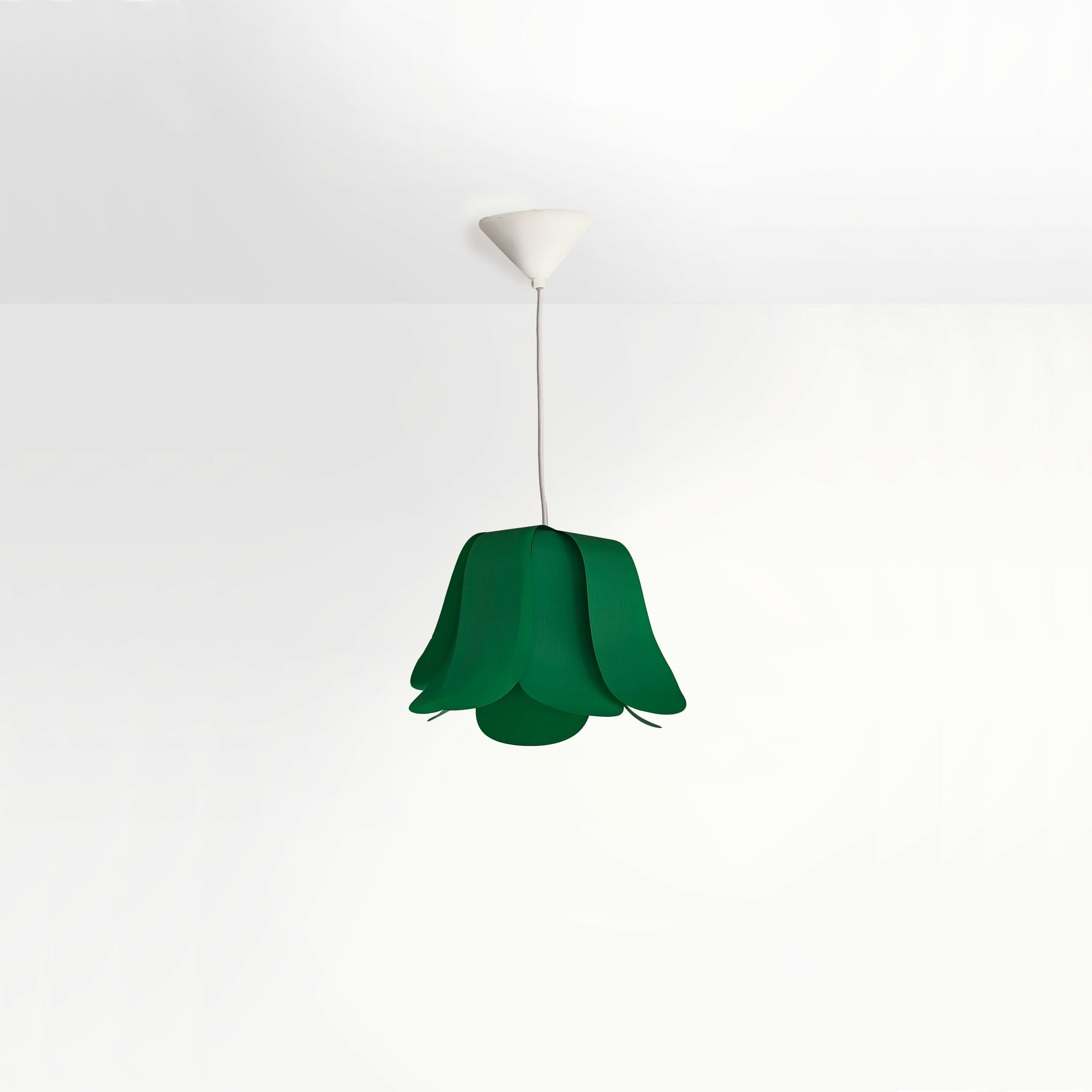 Lumière verte Tulipe un lampe écologique
