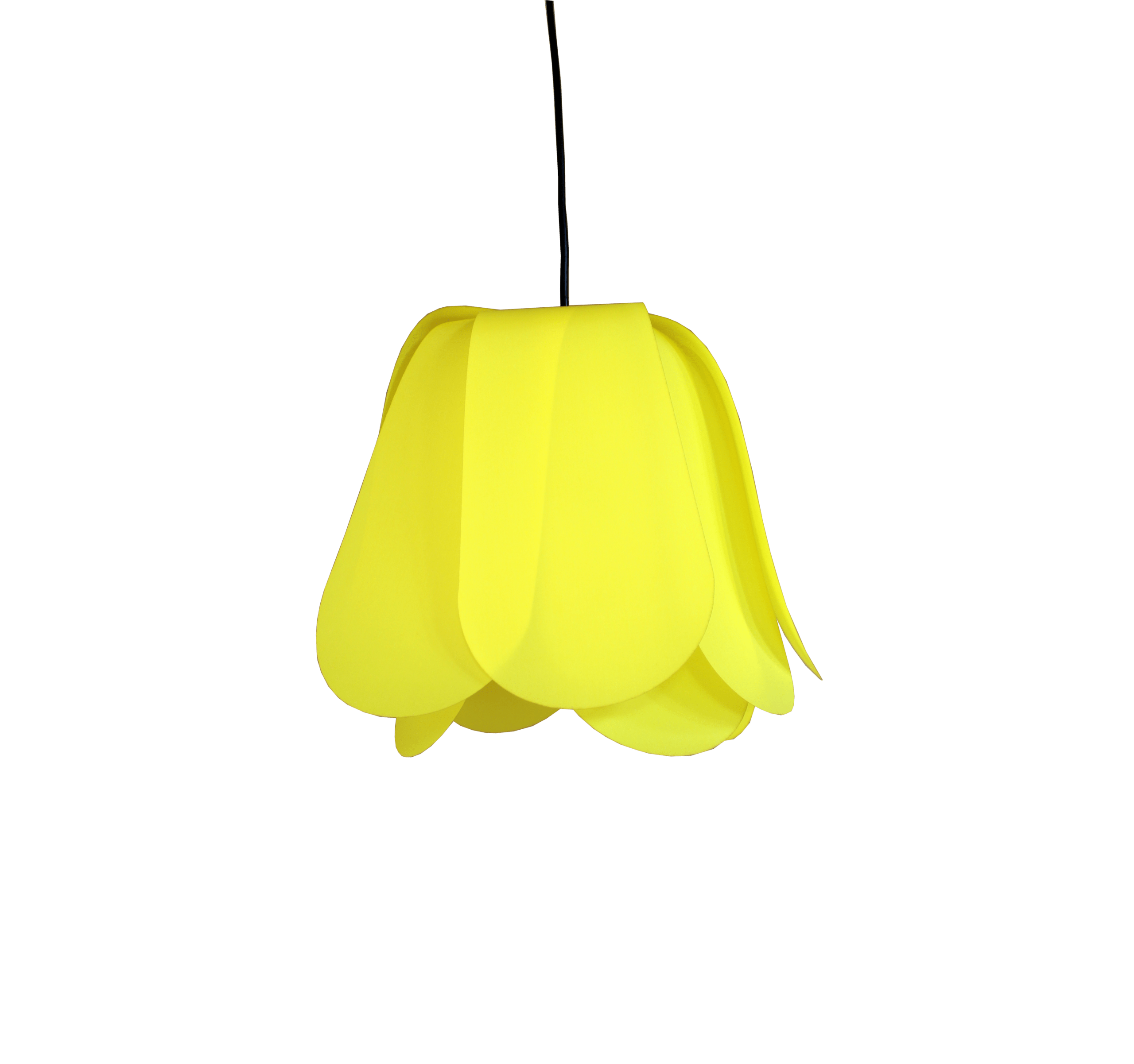 Tulipe Jaune – Image 3