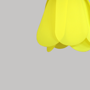 1 - Tulipe Jaune - (Les petits défauts)