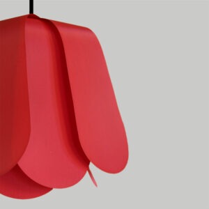 3 - Tulipe Rouge - (Les petits défauts)